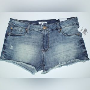 Sts Blue Aubrey Super High Rise Cut Off Distressed Short